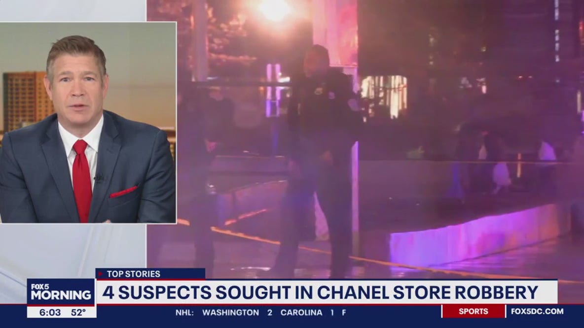 Chanel store ransacked by group armed with fire extinguisher: police
